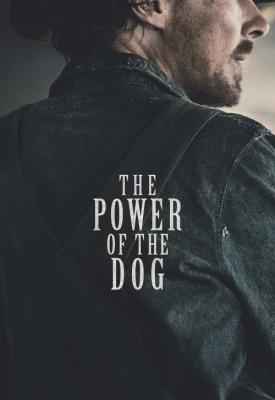 image for  The Power of the Dog movie