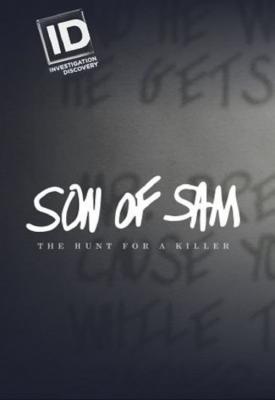 poster for Son of Sam: The Hunt for a Killer 2017