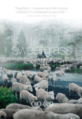 image for  Sweetgrass movie