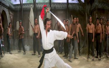 screenshoot for The Kung Fu Instructor