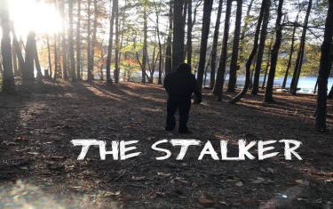 screenshoot for The Stalker