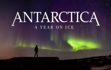screenshoot for Antarctica: A Year on Ice