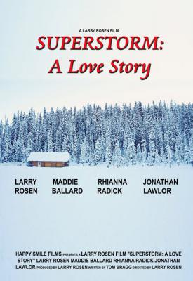 image for  Superstorm: A Love Story movie