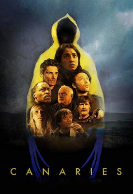 poster for Canaries 2017