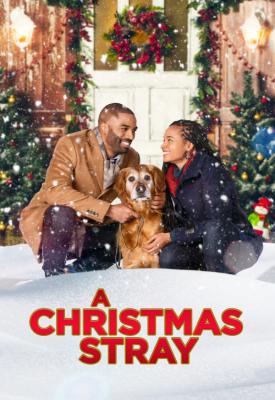 poster for A Christmas Stray 2021