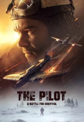 image for  The Pilot. A Battle for Survival movie
