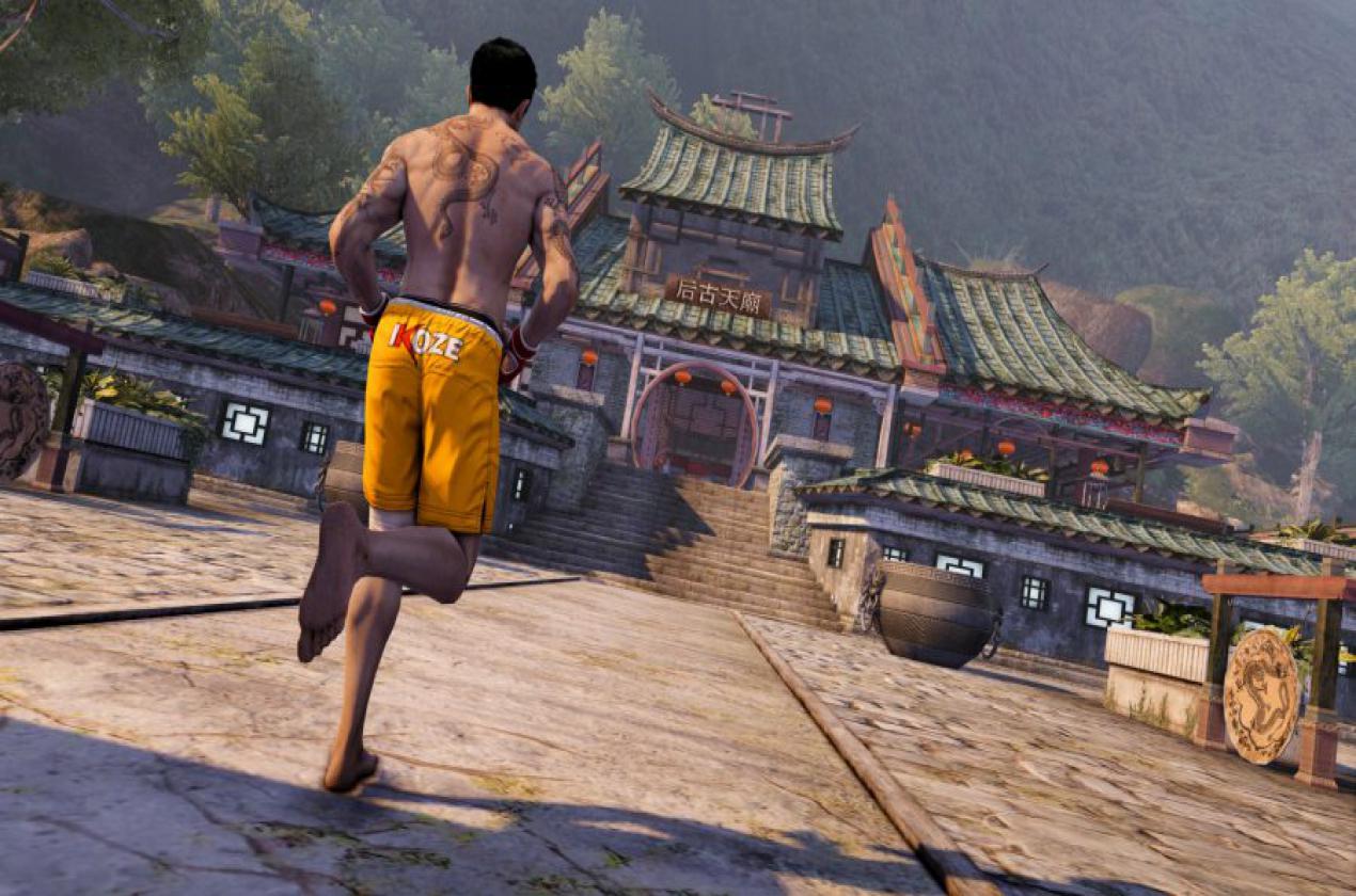 Sleeping Dogs Definitive + Limited Editions Pack (24/30 DLCs) FitGirl Repack free download full