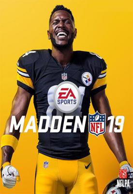 image for Madden NFL 19: Hall of Fame Edition game