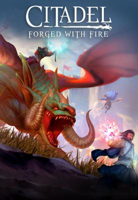 poster for Citadel: Forged with Fire v32568