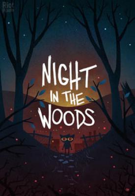 image for Night in the Woods game