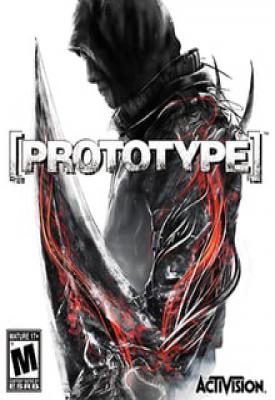 poster for Prototype Build 252009