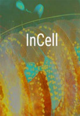 poster for InCell / InCell VR