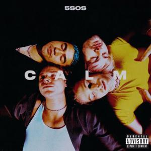 poster for Wildflower - 5 Seconds Of Summer