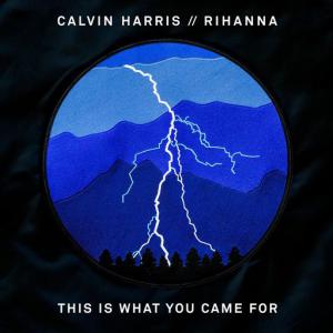 poster for This Is What You Came For Ft. Rihanna - Calvin Harris
