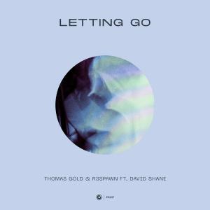 poster for Letting Go (feat. David Shane) - Thomas Gold & R3SPAWN