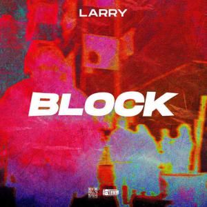 poster for Block - Larry