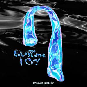 poster for EveryTime I Cry (R3HAB Remix) - Ava Max