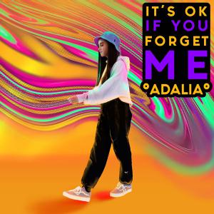 poster for It’s Ok If You Forget Me - Adalia