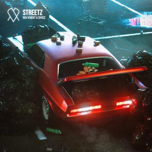 poster for Streetz - Nav Knight & Shvdz