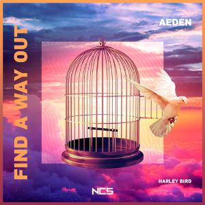 poster for Find a Way Out - Aeden & Harley Bird