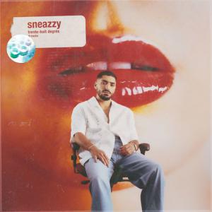 poster for Vaisseau (feat. Franglish) - Sneazzy