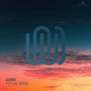 poster for Fly Like Birds - Axero