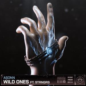 poster for Wild Ones (feat. STRNGRS) - Asonn