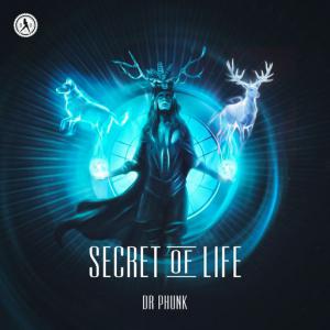 poster for Secret Of Life - Dr Phunk