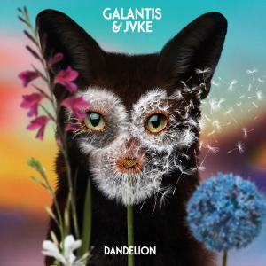 poster for Dandelion - Galantis & JVKE
