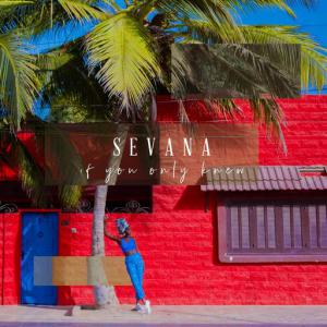poster for If You Only Knew - Sevana
