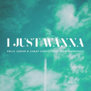 poster for I Just Wanna (feat. Bow Anderson) - Felix Jaehn & Cheat Codes