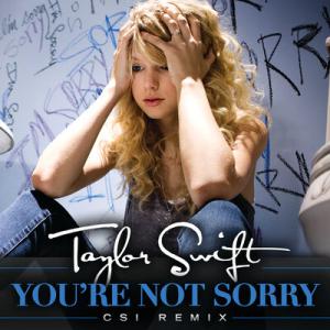 poster for You’re Not Sorry CSI Remix - Taylor Swift