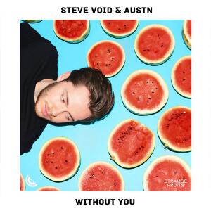 poster for Without You - Steve Void & AUSTN