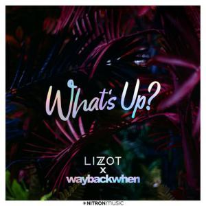 poster for What’s Up? - Lizot, waybackwhen