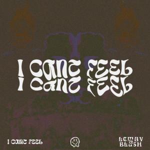 poster for I Can’t Feel - Lemay & Blush