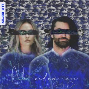 poster for Ne vedem noi (LLP Remix) - Smiley & Delia