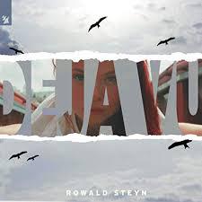 poster for  DejaVu - Rowald Steyn