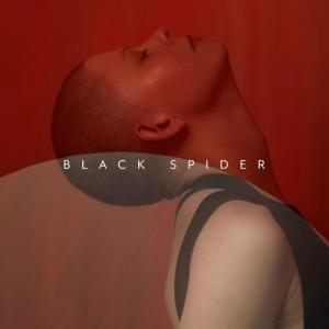 poster for Black Spider - Kovacs  