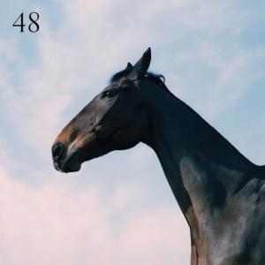 poster for 48 (feat. Jay Prince) - Moss Kena