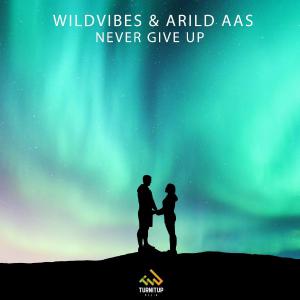 poster for Never Give Up - WildVibes & Arild Aas