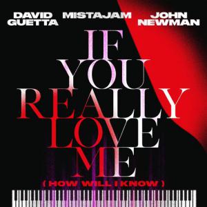 poster for If You Really Love Me (How Will I Know) - David Guetta, MistaJam, John Newman