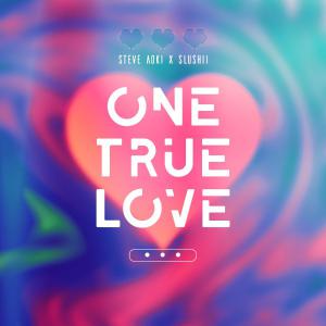 poster for One True Love - Steve Aoki & Slushii