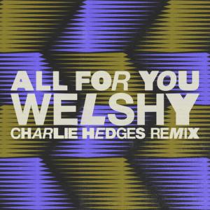 poster for All for You (Charlie Hedges Remix) - Welshy
