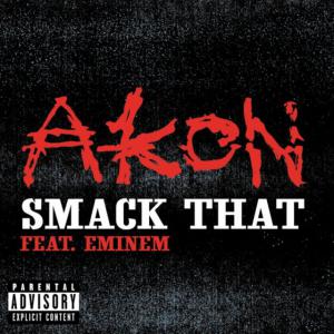 poster for Smack That Feat. Eminem - Akon