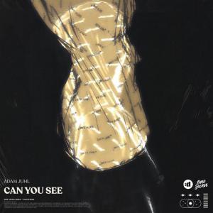 poster for Can You See - Adam Juhl
