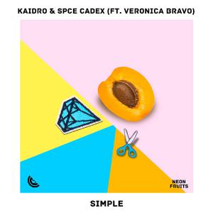 poster for Simple - Kaidro & Spce CadeX