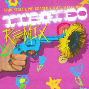 poster for Tiroteo (Remix) - Marc Segui, Rauw Alejandro, Pol Granch