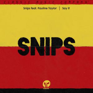 poster for Say It (feat. Pauline Taylor) (Sandy Rivera Remix) - snips