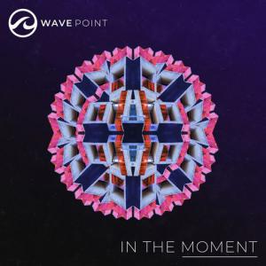 poster for In The Moment - Wave Point