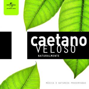 poster for Samba De Verao - Caetano Veloso